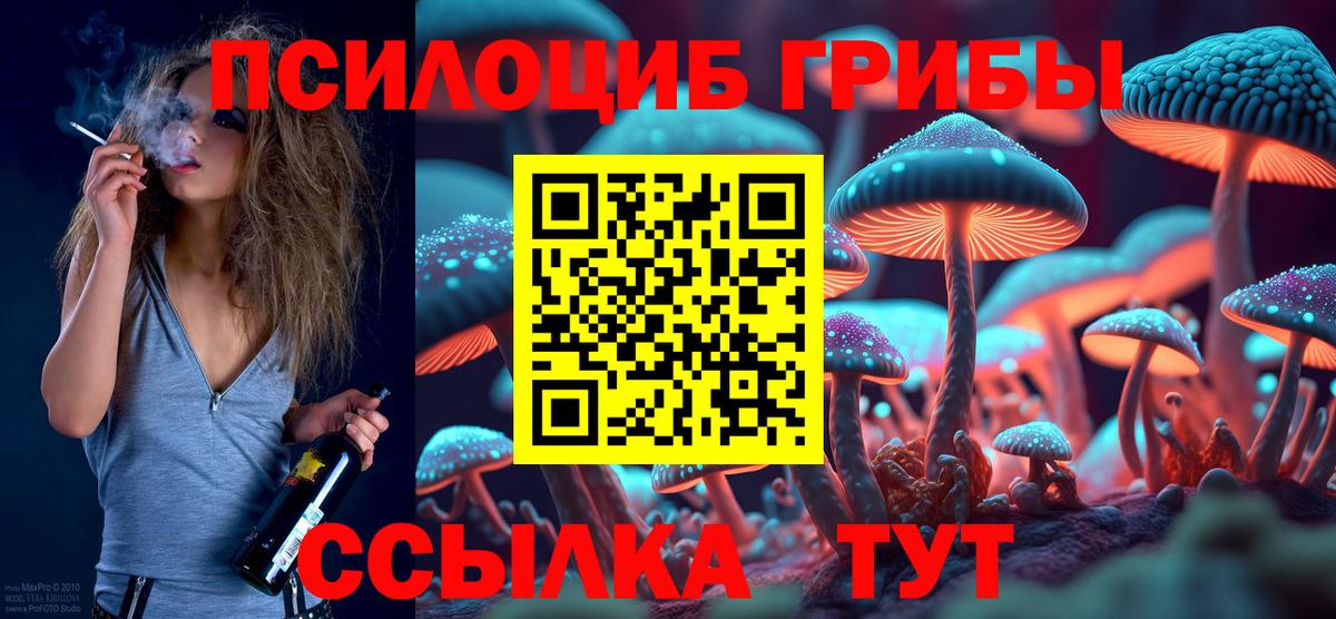 Псилоцибиновые грибы мицелий Солнечногорск