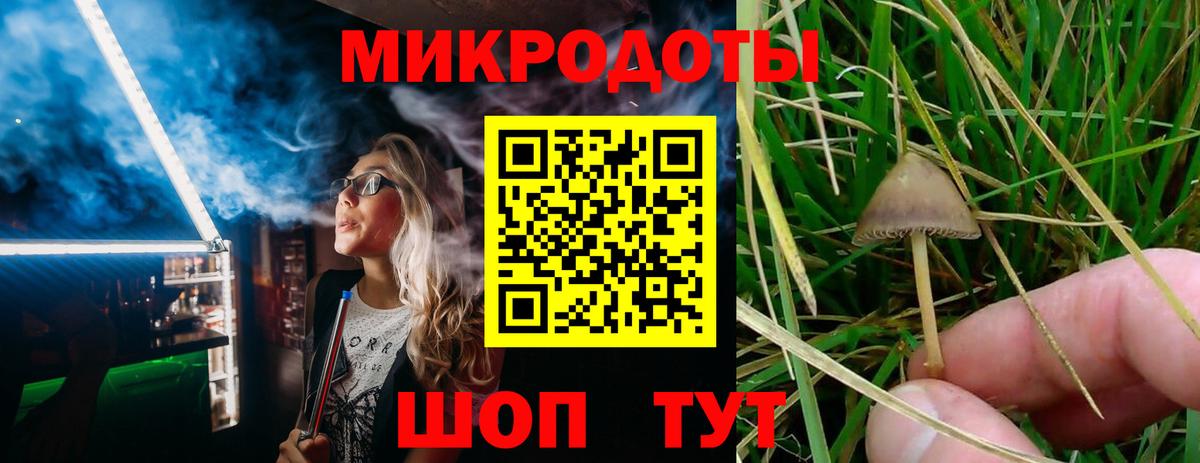 Солнечногорск  Псилоцибиновые грибы Magic Shrooms  Вход с VPN 